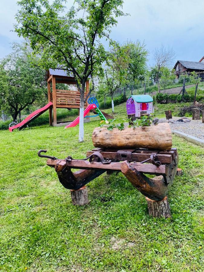 Pensiunea Casa Mariuca Văleni المظهر الخارجي الصورة